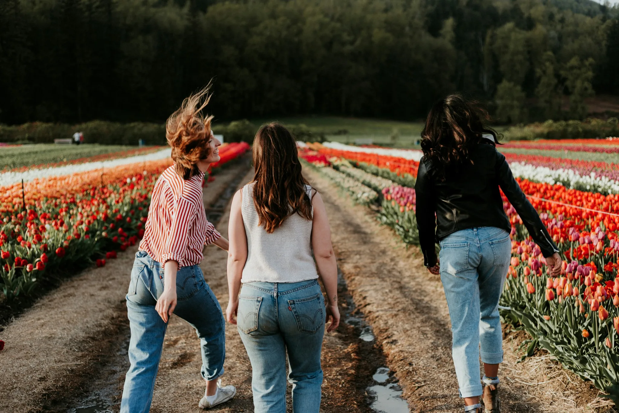 Drei Freundinnen gehen gemeinsam durch ein Tulpenfeld: tragfähige Freundschaften schützen gewollt Kinderlose vor Einsamkeit